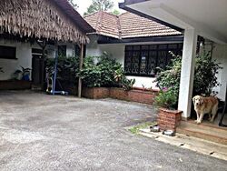 Windsor Park (D20), Detached #482020291
